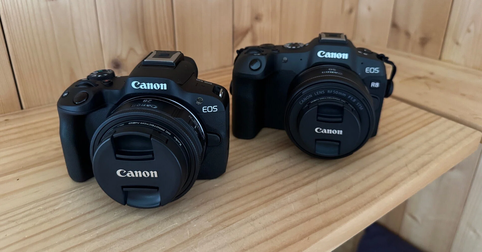 Canon　一眼　単焦点 単焦点が好きになれそうな気がしている｜かわこ