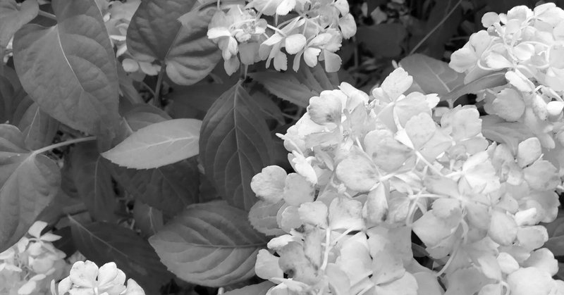 弔いの花となり 墓標となり やめ Note