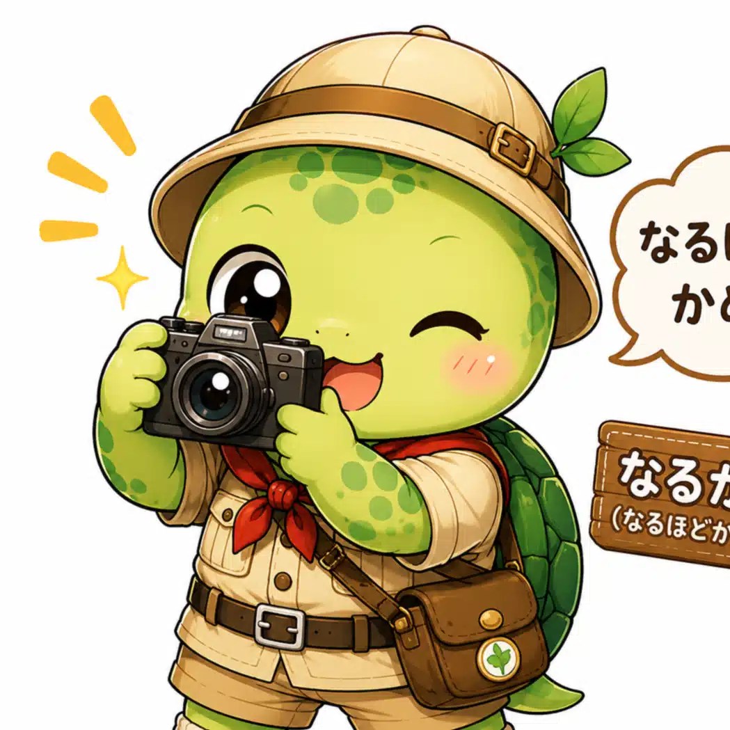 なるかめ
