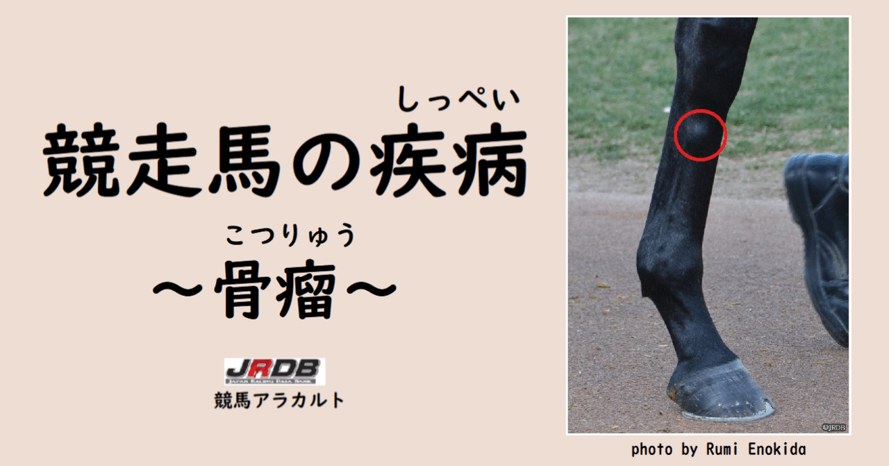 競走馬の疾病 ～骨瘤（こつりゅう）～｜JRDB 競馬アラカルト