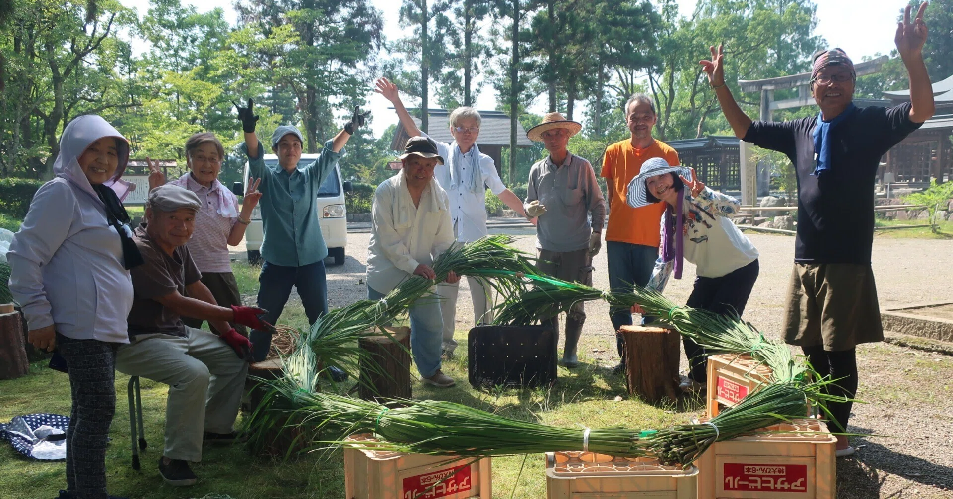 作楽神社にマコモの茅の輪を奉納 初の「夏越の祓」へ、13人が手作り
