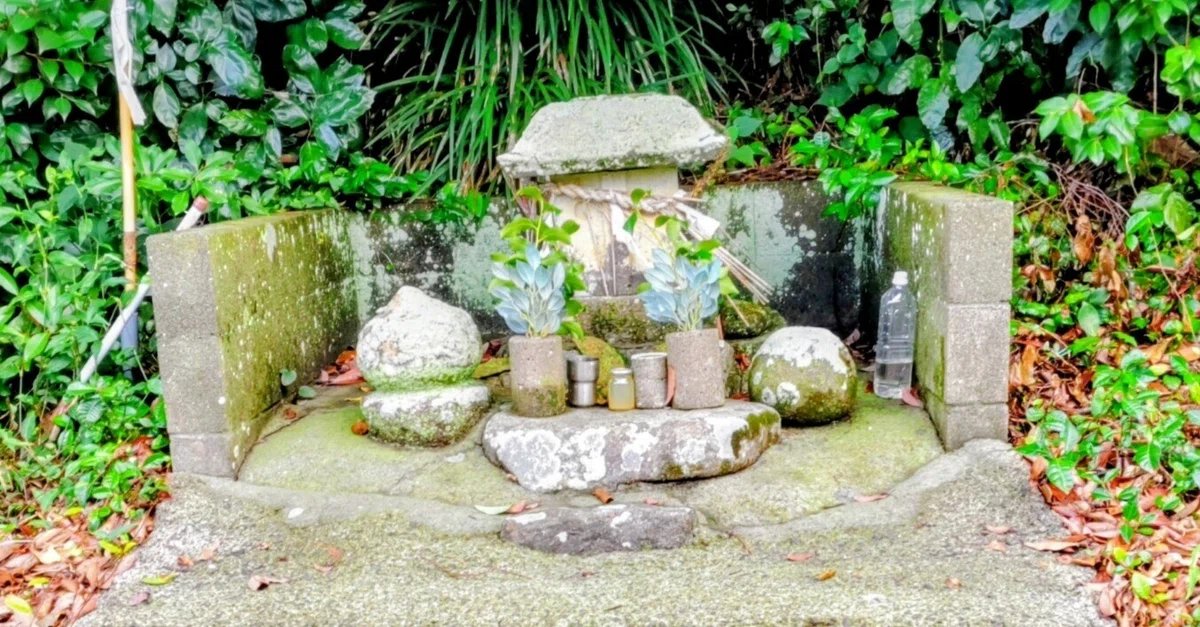 èŠåºãç»å