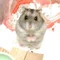 砂男（すなお）