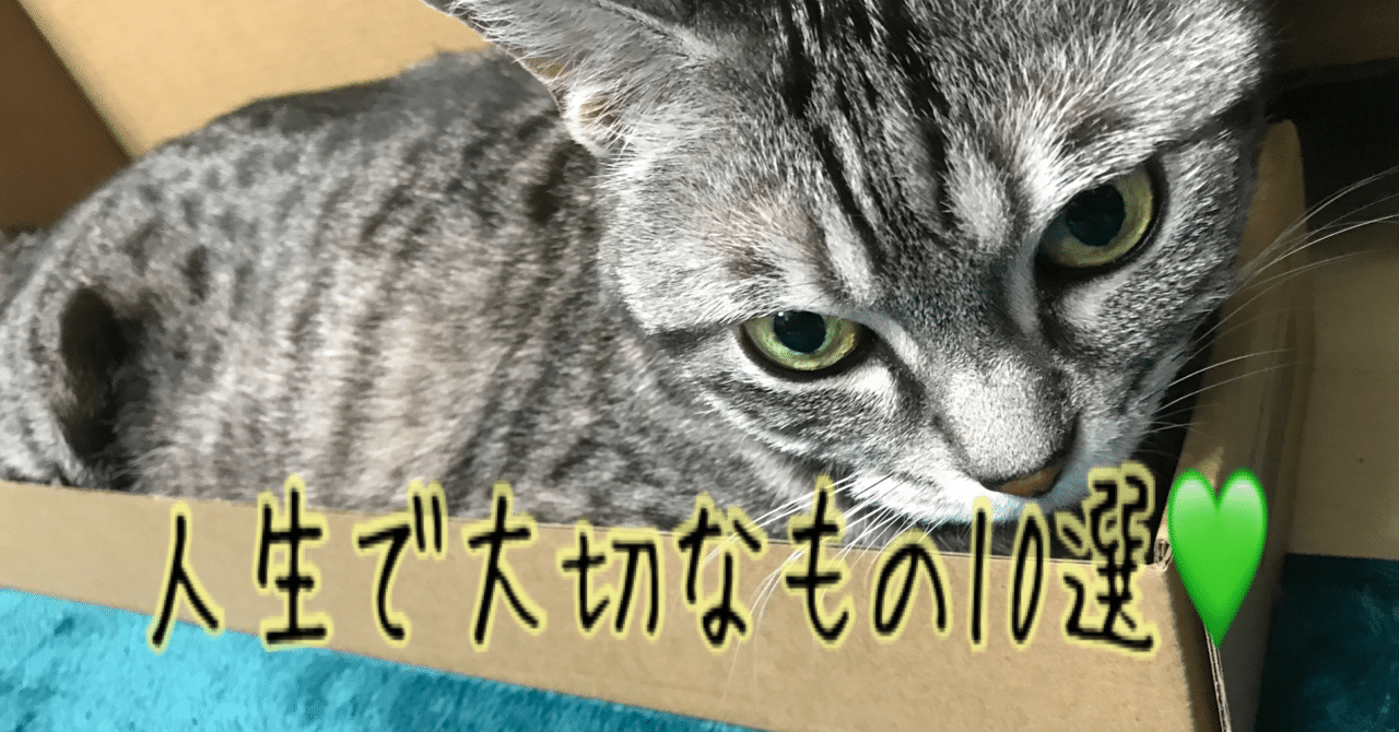 人生で大切なもの10選 雑貨店 まやの目 店主 D Note