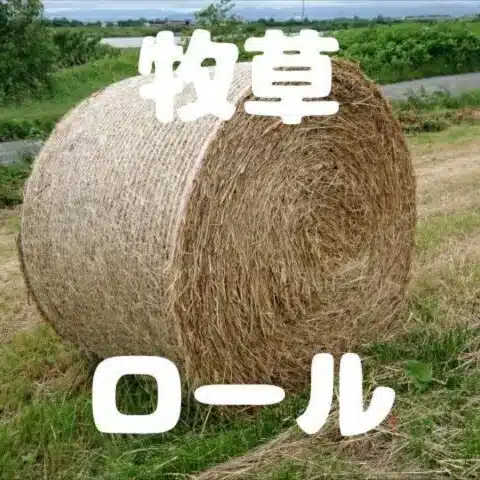 SATO