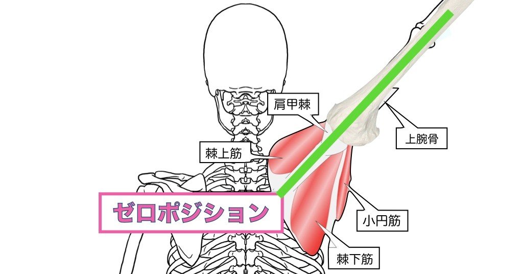 ゼロポジションって何❓｜理学療法士 井上健太