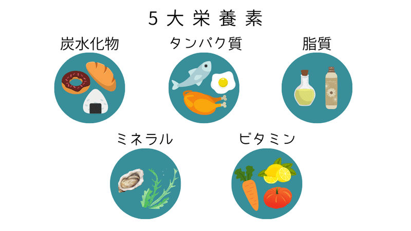 五大栄養素｜知詠｜note