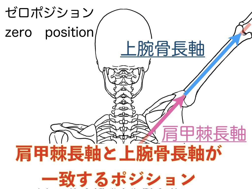 ゼロポジションって何❓｜理学療法士 井上健太