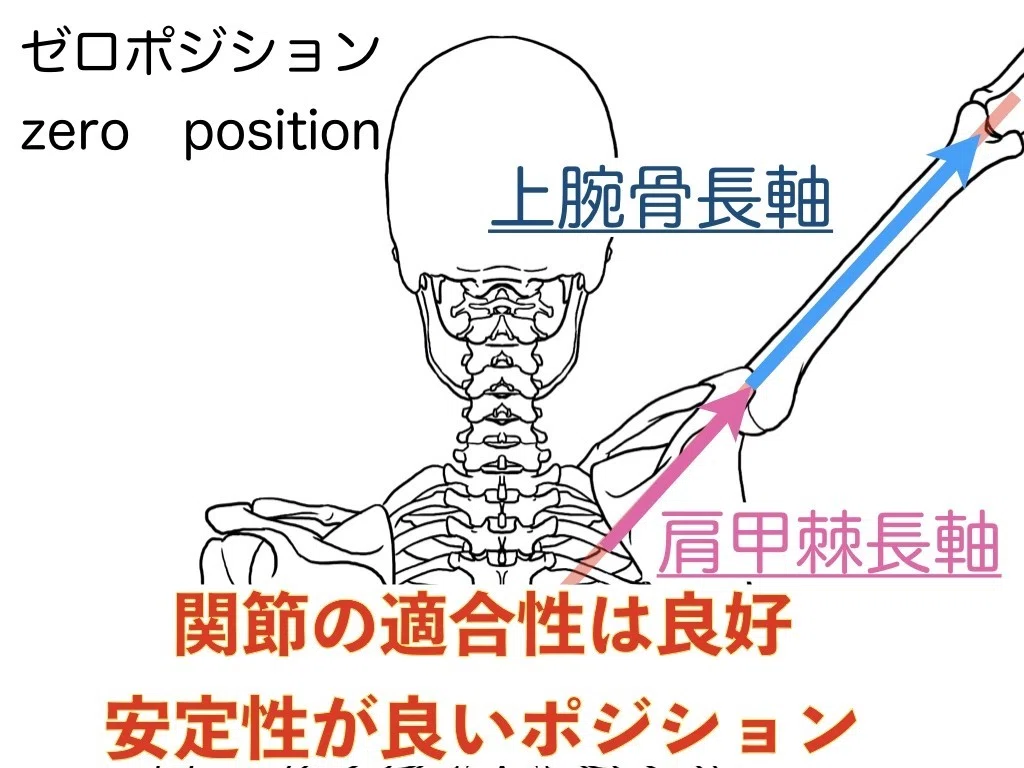ゼロポジション ゼロポジションって何❓｜理学療法士 井上健太