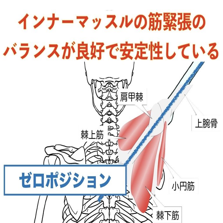 ゼロポジションって何❓｜理学療法士 井上健太