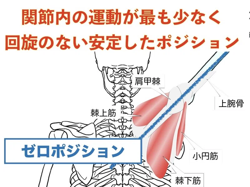 ゼロポジションって何 理学療法士 井上健太 Note