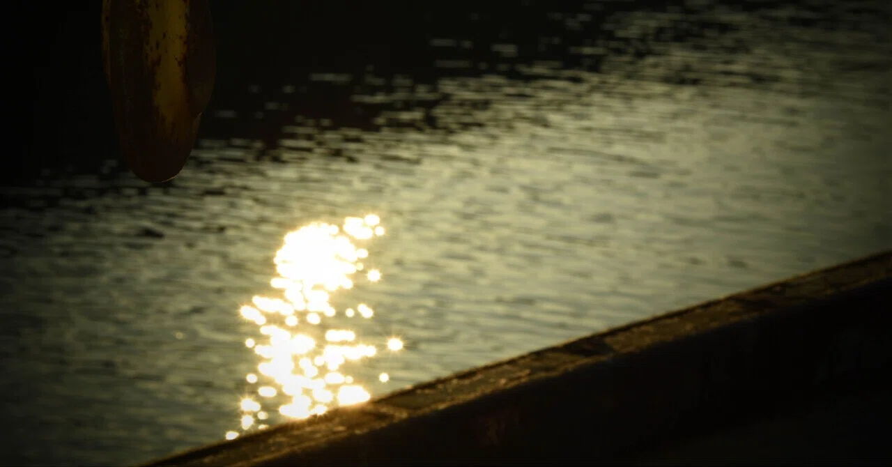 Nikon D5600と90mm｜まー