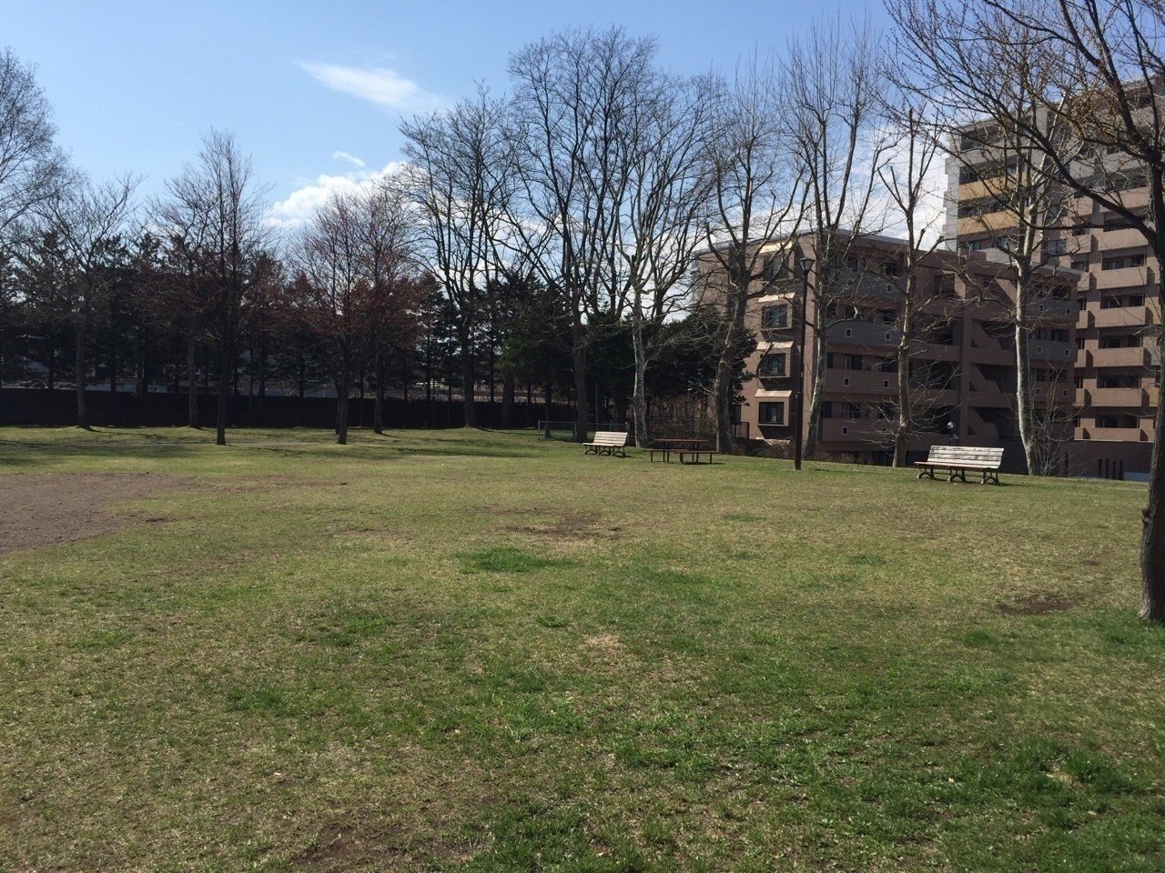 かみまみた の新着タグ記事一覧 Note つくる つながる とどける かみまみた の新着タグ記事一覧 Note つくる つながる とどける