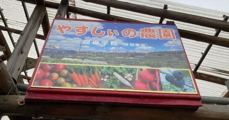 トウモロコシとエダマメ 初の収穫