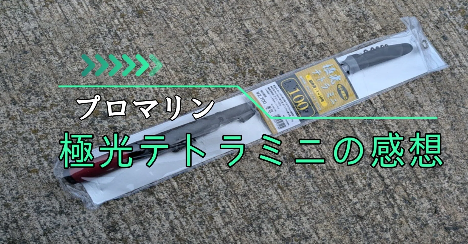 プロマリンの『極光テトラミニ』を使ってみた感想【振り出しミニロッド