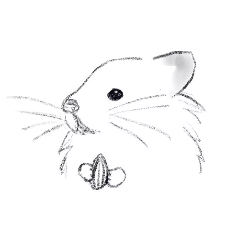 ヨンシル