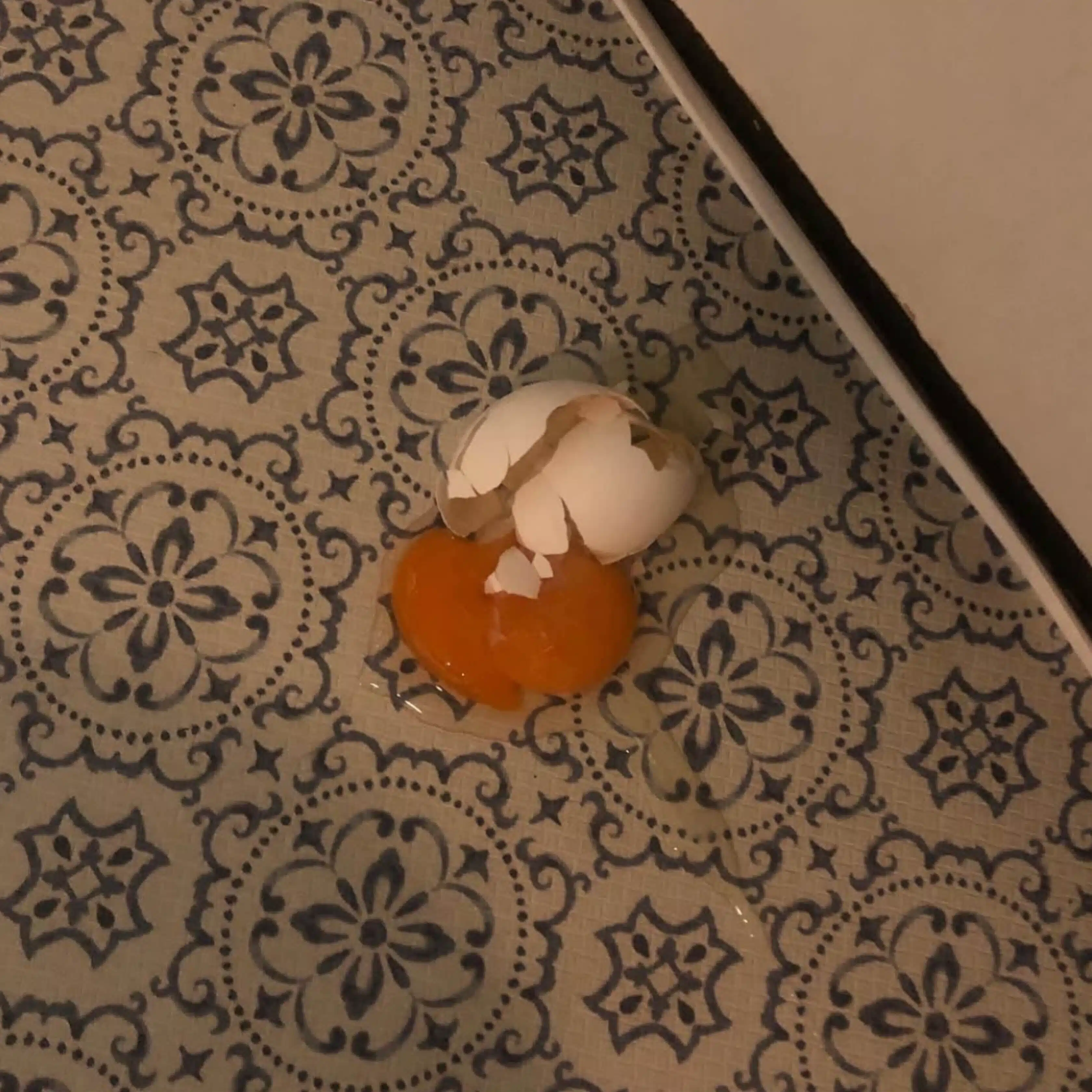 だー