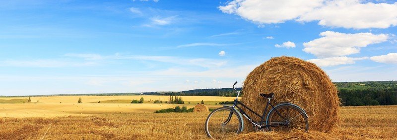 【ほぼ日刊】マイクが行く!自転車日本一周PRの旅