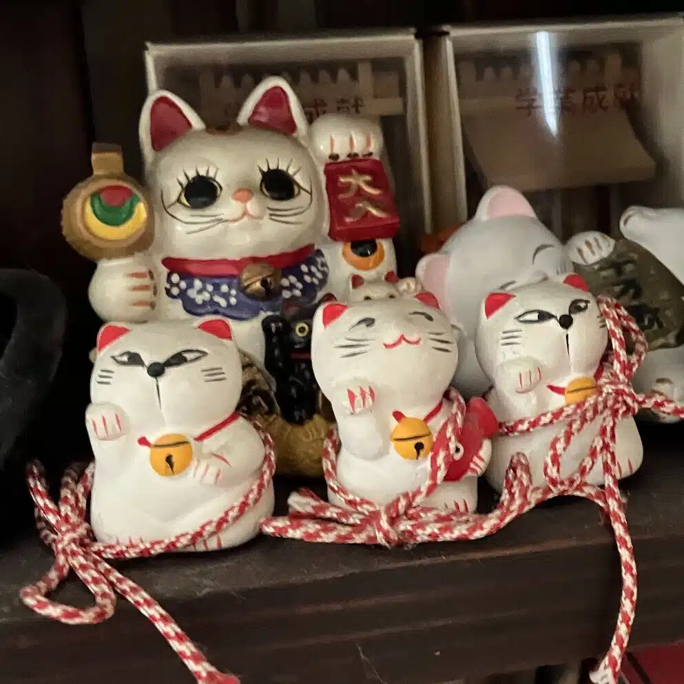 さびねこ
