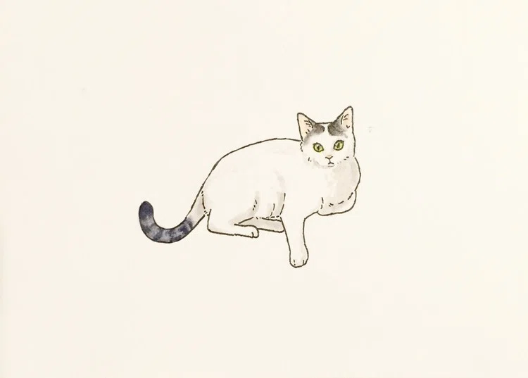 picture_mobile_fe343605be08b86 