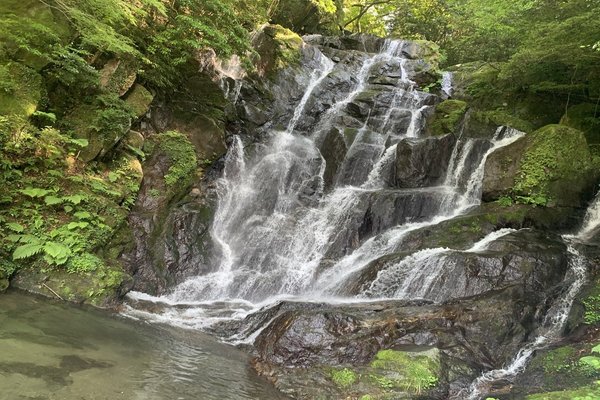 凛々しさ の新着タグ記事一覧 Note つくる つながる とどける