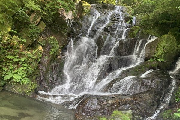 凛々しさ の新着タグ記事一覧 Note つくる つながる とどける 凛々しさ の新着タグ記事一覧 Note つくる つながる とどける