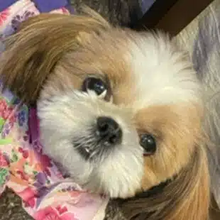 高塔琳子