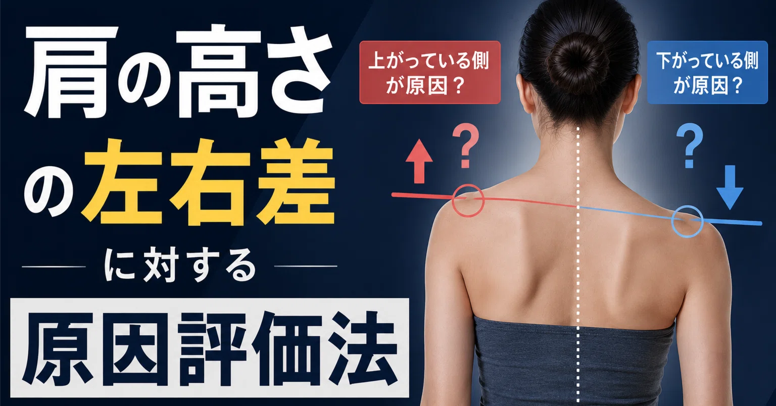 肩の高さの左右差に対する原因評価法【臨床セミナーマガジン