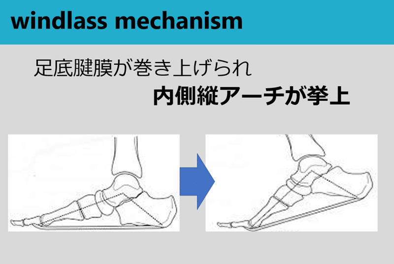 windlass testの解釈と方法！知っておくと得する+αの情報｜Y.K