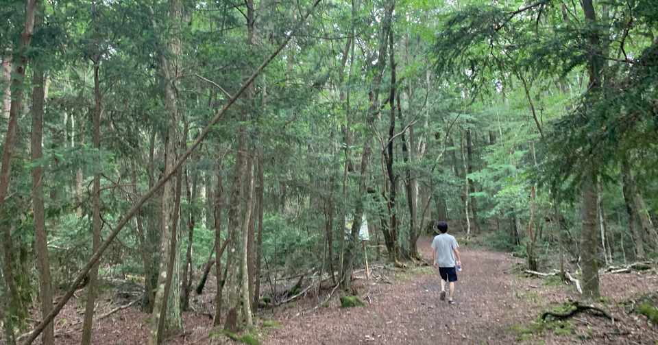 微ホラー 富士の樹海で死にかけた話 実体験 パチエモン Note
