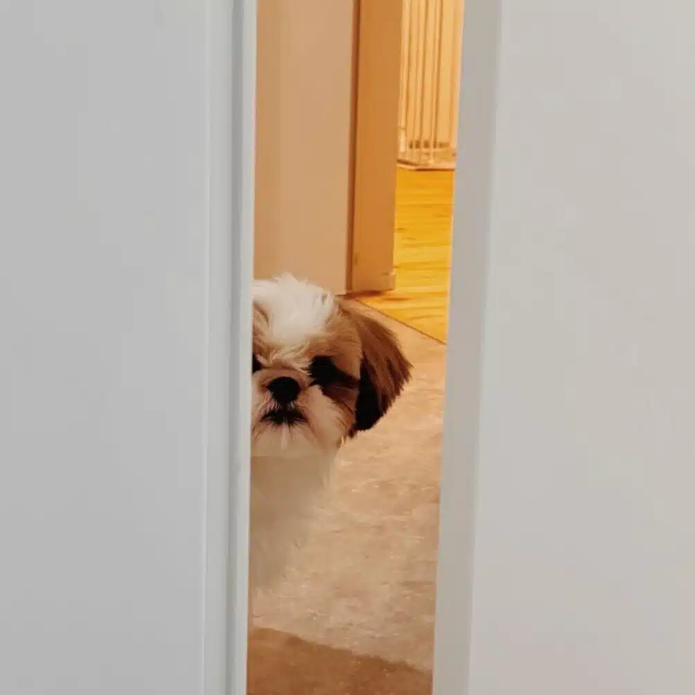 ユキ