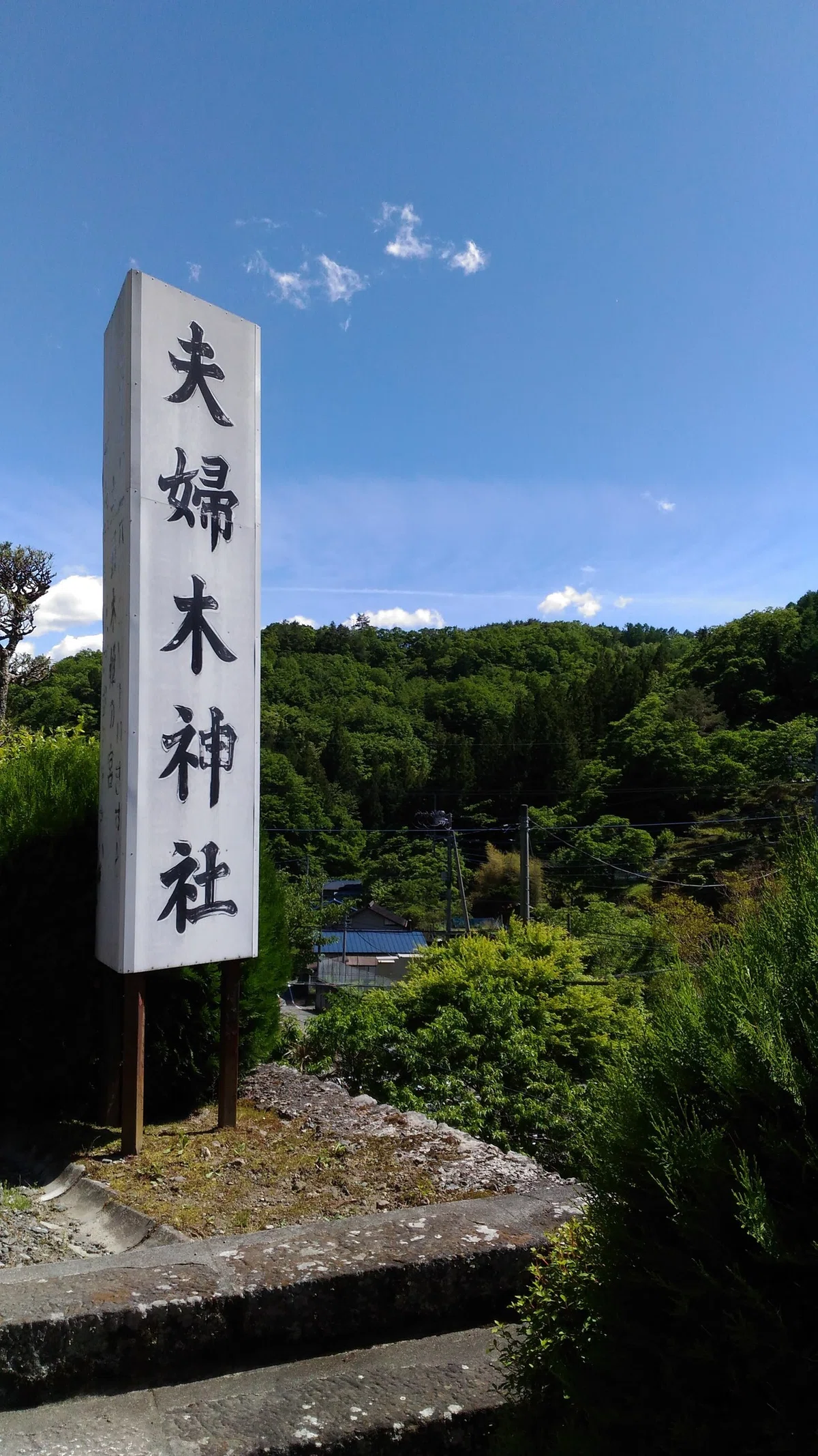 画像20