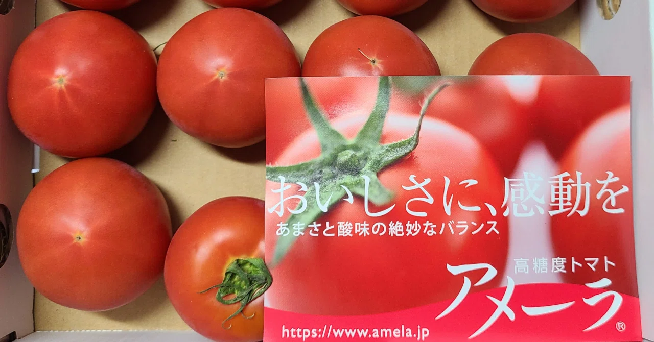 高糖度トマト「アメーラ」を初めて食べたら、異次元に甘かった件