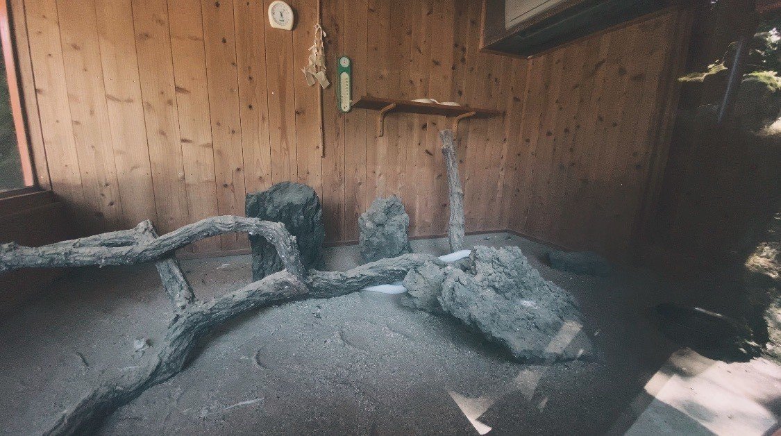 赤水蛇石神社/金運・豊穣の神/ Akamizu Snake Stone Shrine