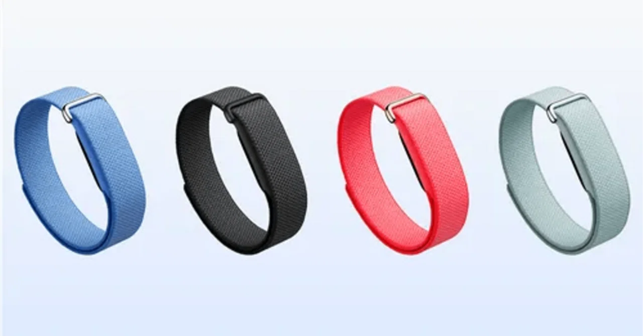 Google Fitbit Air購入！｜Tim Tam