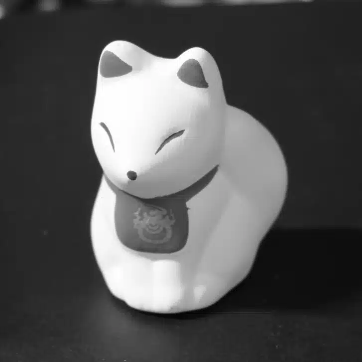 金井枢示 (ｶﾅｲｽｳｼﾞ)