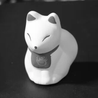 金井枢示 (ｶﾅｲｽｳｼﾞ)