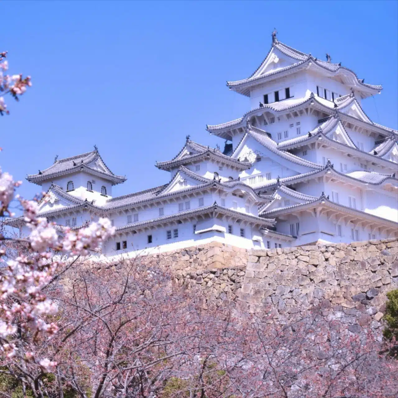 全国地震観測システム