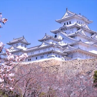 全国地震観測システム