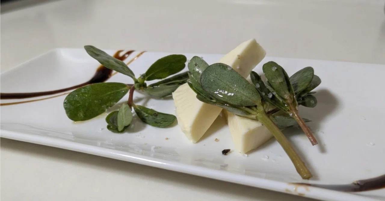 畑で見つけたスベリヒユ。食べてみたら意外な発見がありました｜sanayo