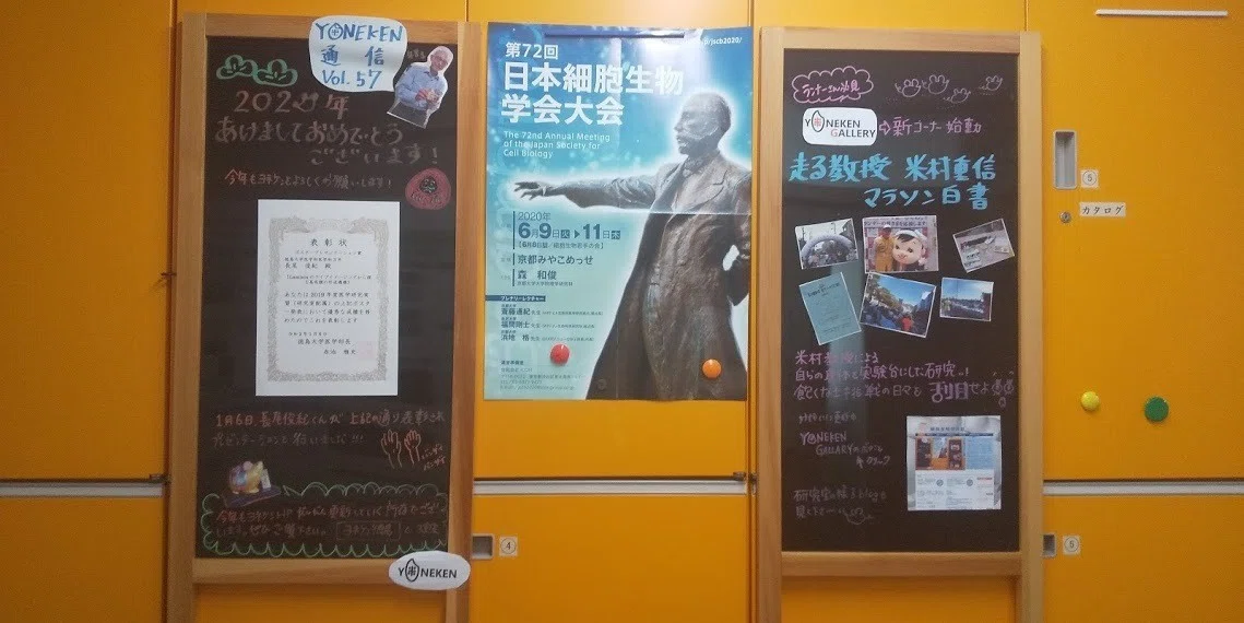 画像9