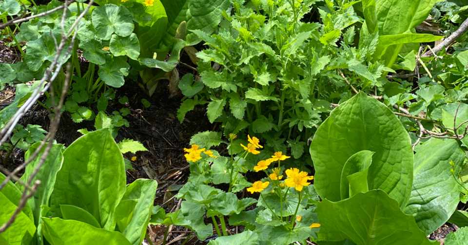 誕生日前日に しょういち Note