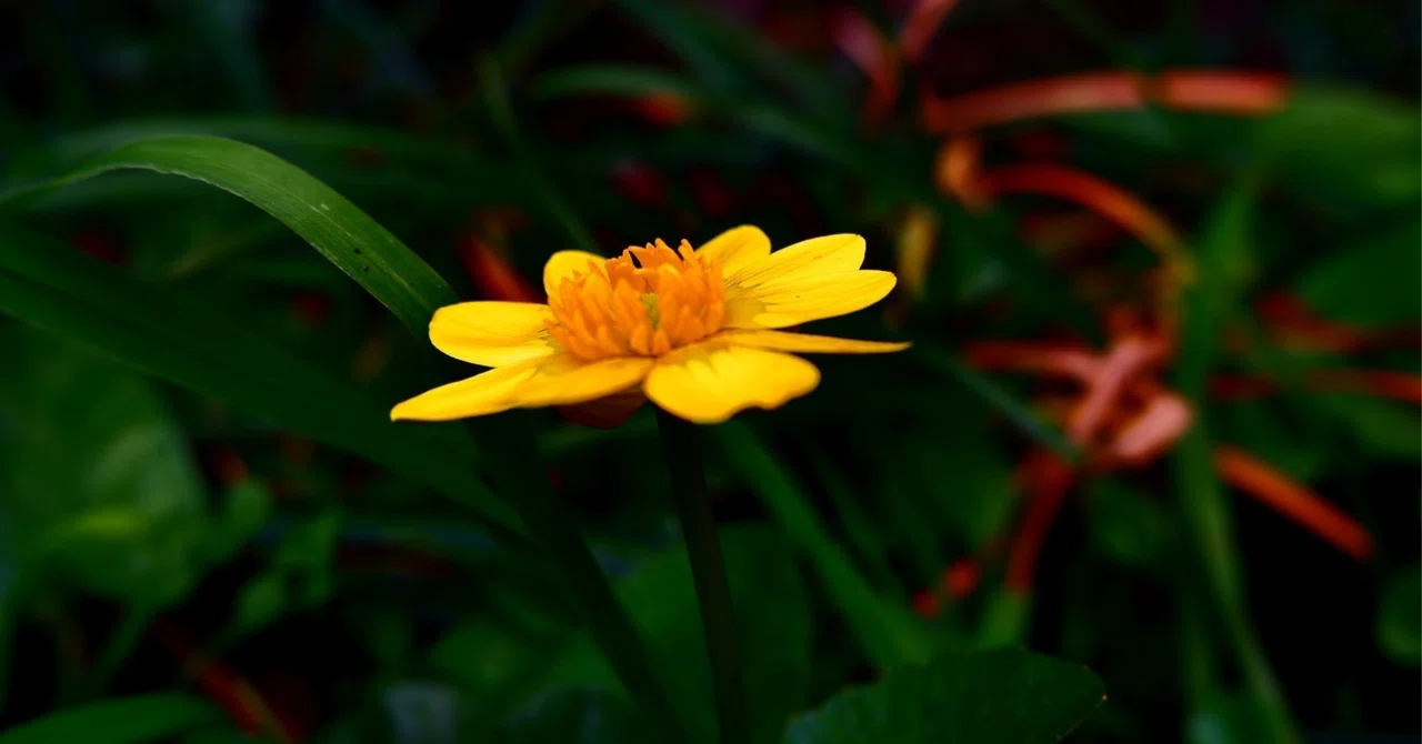 You can create a place of peace within yourself. For you, Taurus, in ...