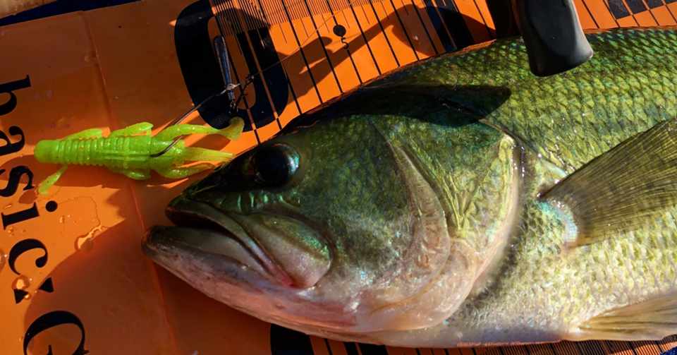 人生釣り三昧 4 雨後リザーバーのカバー撃ちを堪能 かずおか Note