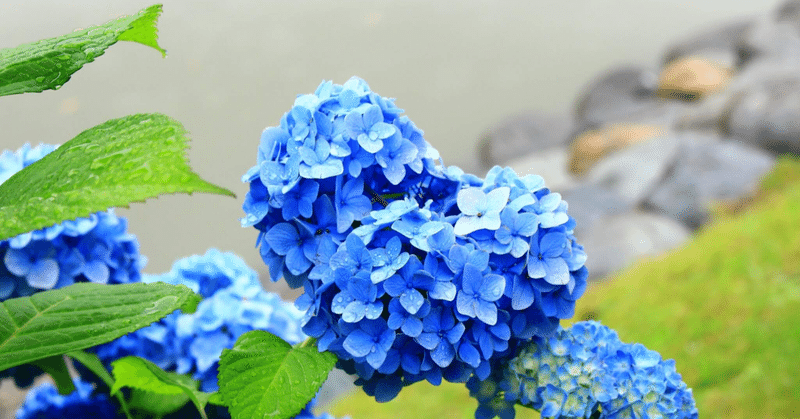 悩みも不安もあって普通だけど 生きづらさの川を渡りきり 自分らしく生きたいあなたへ 石塚 勇気 Note 悩みも不安もあって普通だけど 生きづらさの川を渡りきり 自分らしく生きたいあなたへ 石塚 勇気 Note