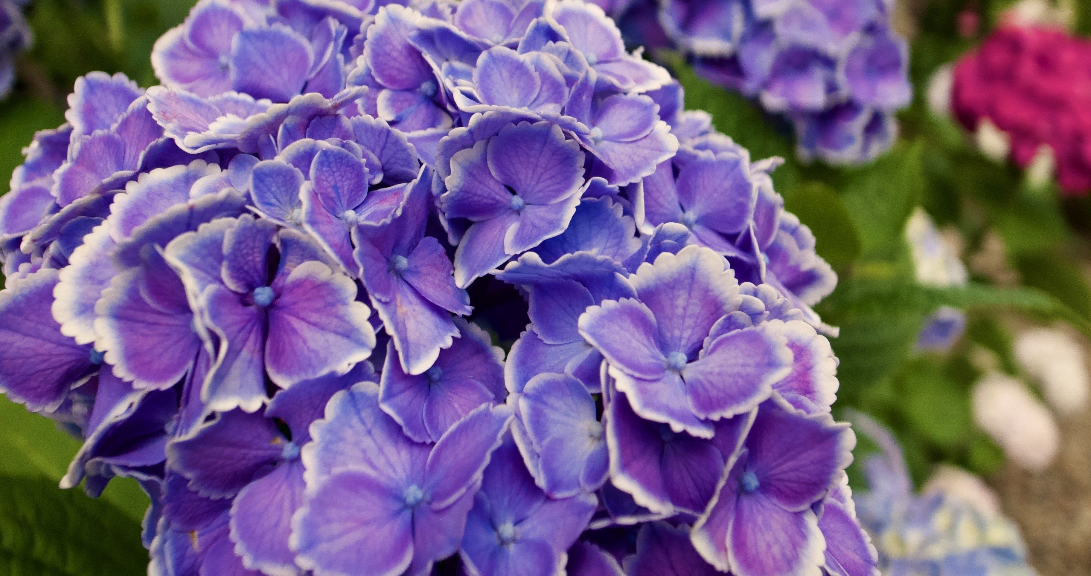 職場をコロコロ変えるのは勿体無いです 郷野雅秀 Note