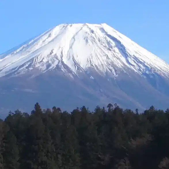 紬月莉友
