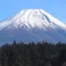 紬月莉友