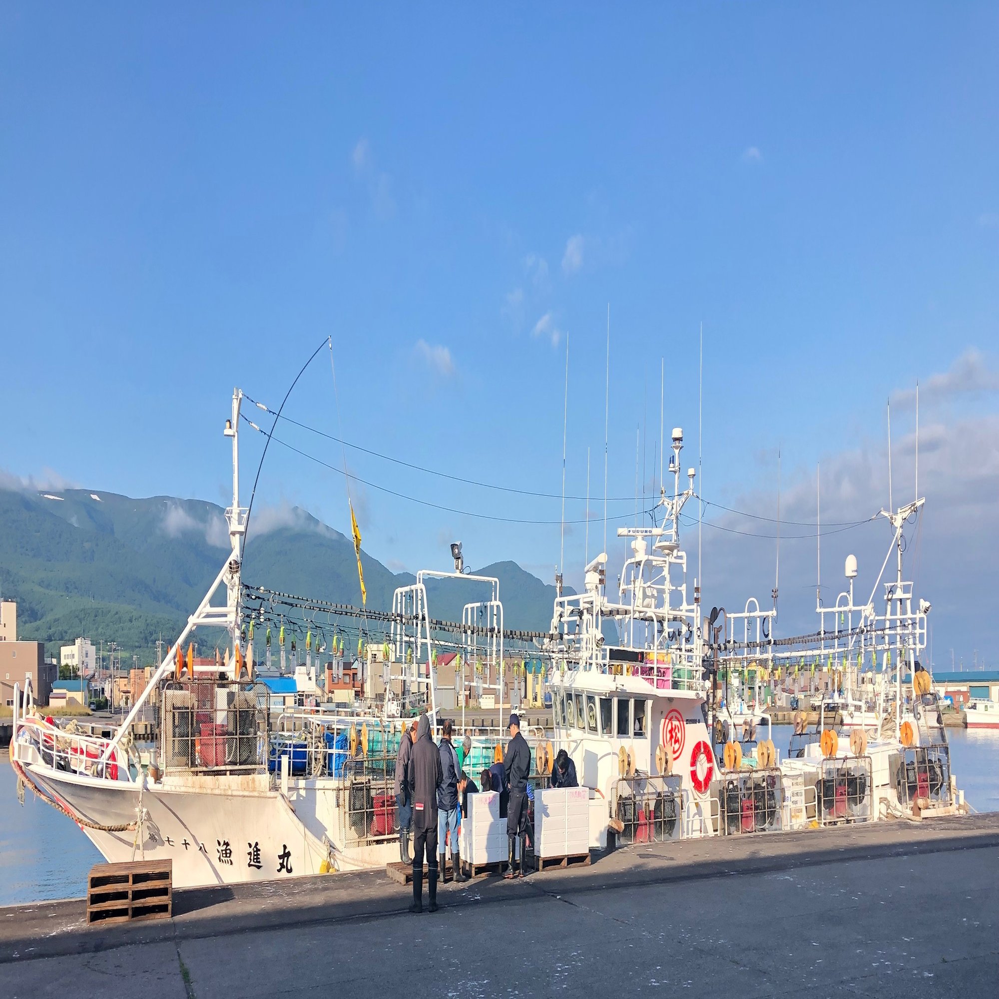 イカ漁 解禁 吉田かなっぺ Note