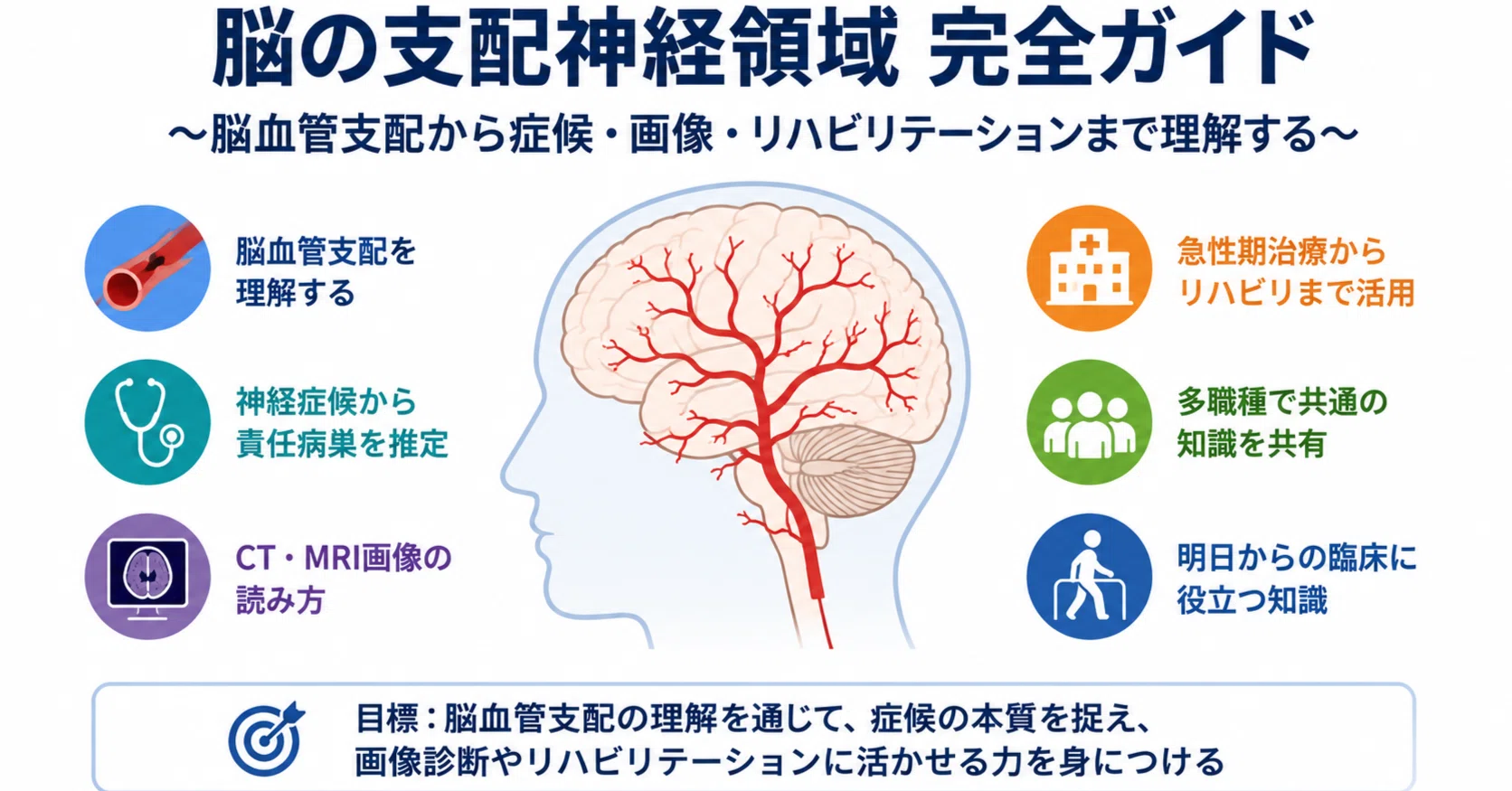 脳の支配神経領域 完全ガイド～脳血管支配・神経症候・画像評価